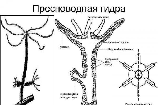 Как зайти на кракен через тор браузер