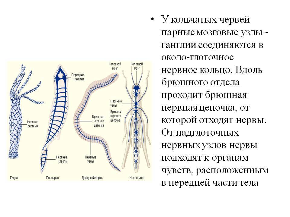 Кракен сайт store